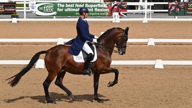 Carl Hester and Fame at Hartpury Premier League