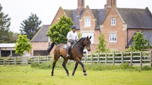 Show producer Robert Walker rides MHS Morning Master at home in Cheshire