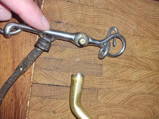 Fuerty Emperor wins at Midlands Irish Draught and Open Hunter display