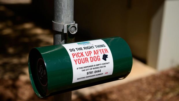 Dog dispenser for the best dog poop bag