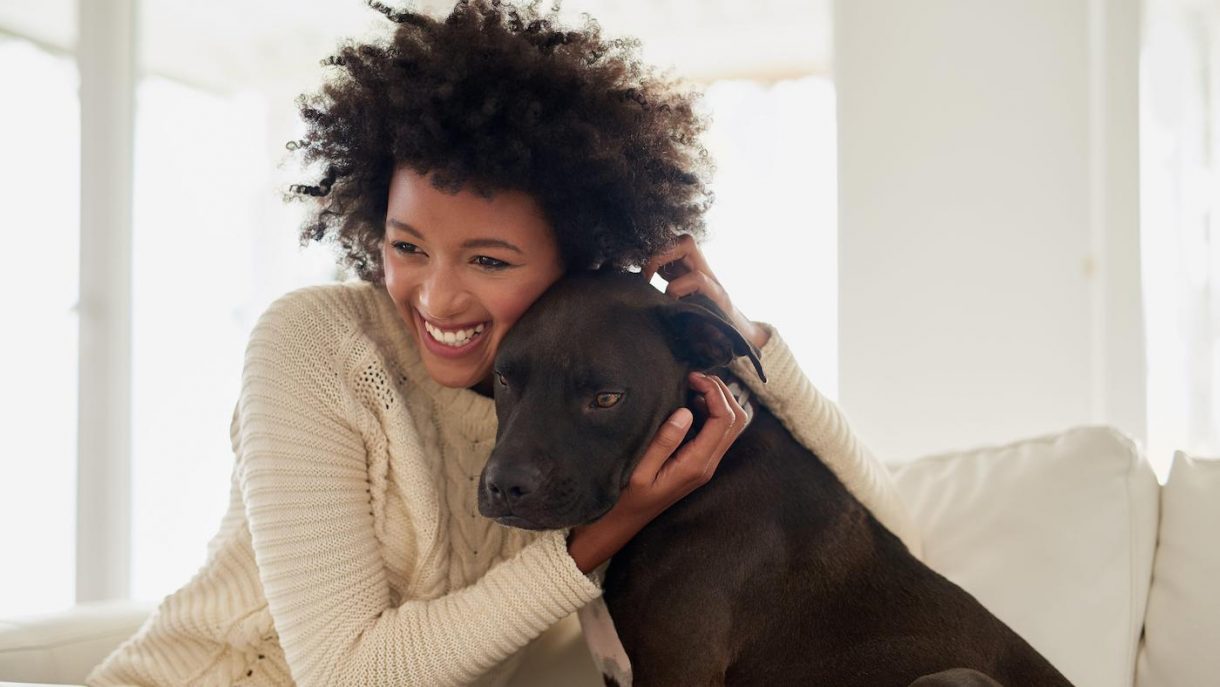 How to remove dog hair from clothes three steps to success