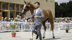 Cyril Gavrilovic with Elmundo De Gasco at the European Eventing Championships, where Belgium secured team qualification for the Paris 2024 Olympics.