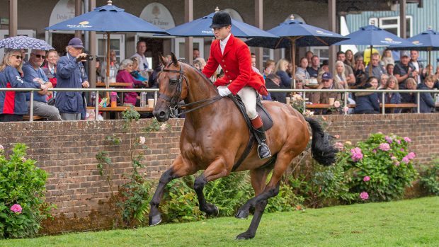 RIHS supreme horse winners