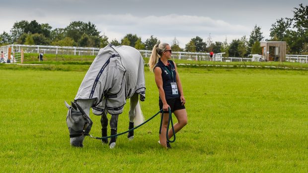 Chloe Whitelam, groom to Tom Jackson