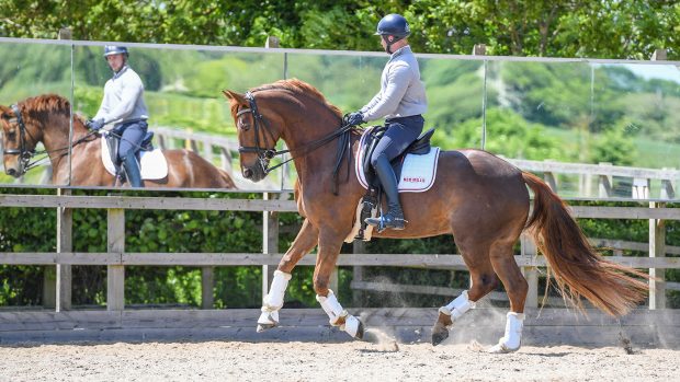 Davy Harvey riding Rossana at home