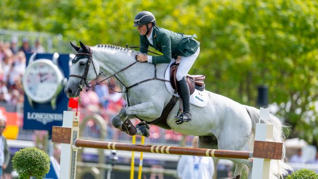 Michael Duffy and Cinca 3 at the European Showjumping Championships