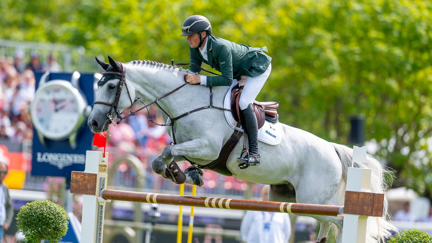 all you want to understand