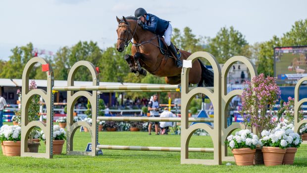 Jens Fredricson and Markan Cosmopolit take the individual lead and the top team position with Sweden in the European Showjumping Championships in Milan, Italy