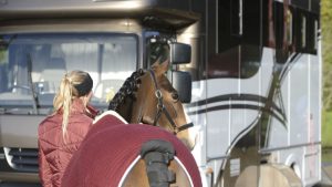 New EU tachograph rules have come into force - with more to follow next year - which will impact some horsebox drivers. Pictured a horse being loaded onto a horsebox.