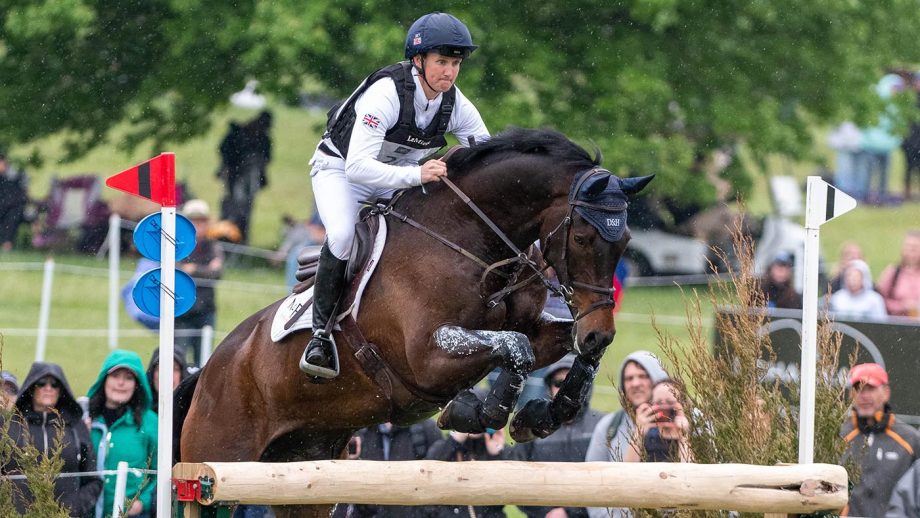 European Eventing Championships cross-country: Tom McEwen and JL Dublin