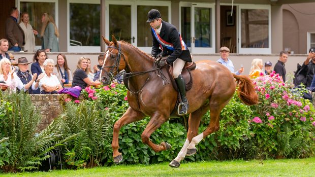 Craig Kiddier piloting Mulberry Lane to the reserve supreme horse accolade at Royal International Horse Show 2023