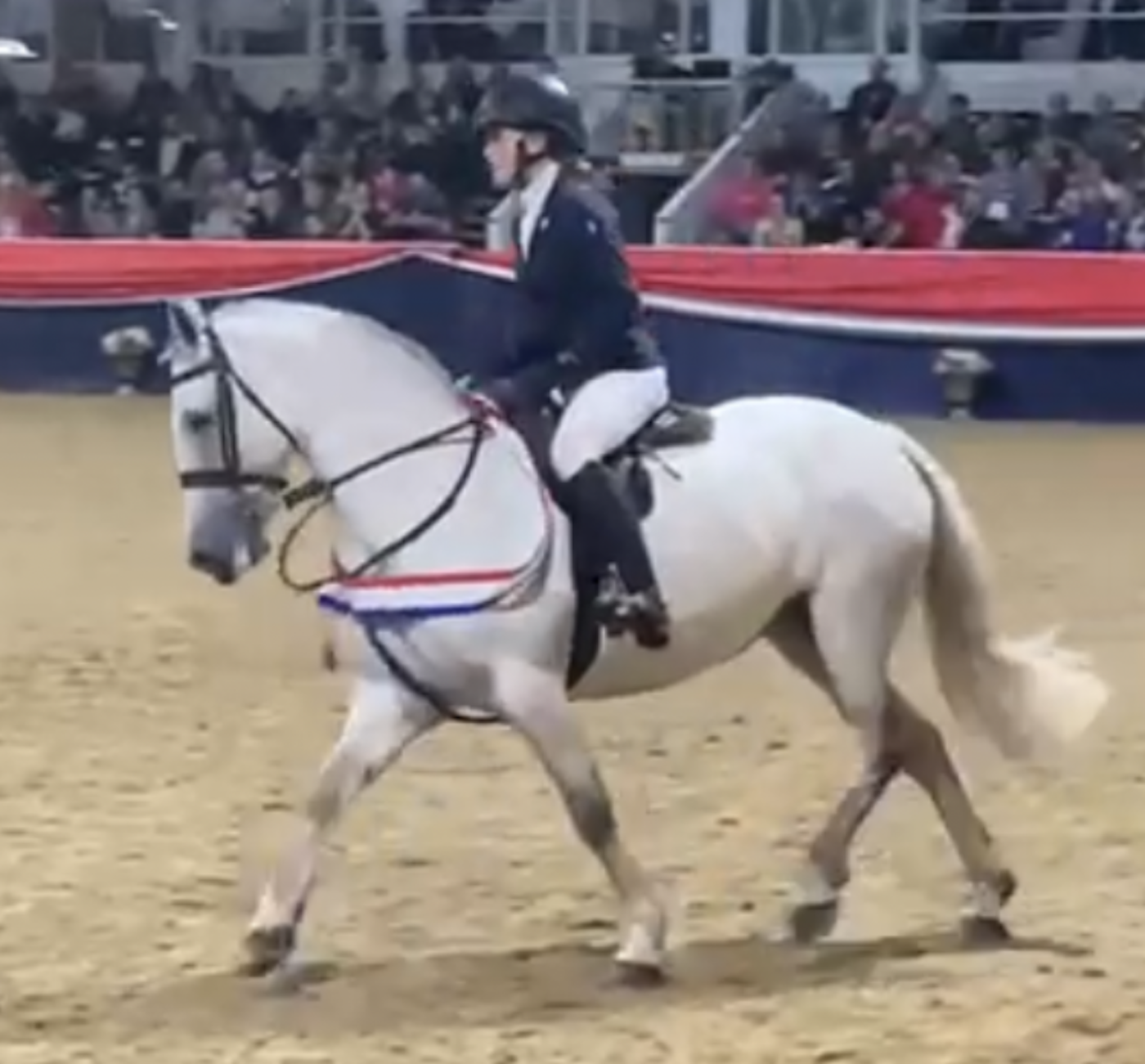 ‘I assumed, no longer once more!’: rider who broke identical leg two times in 10 weeks returns to face champion