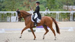 European Eventing Championships dressage: Sandra Auffarth and Viamant Du Matz