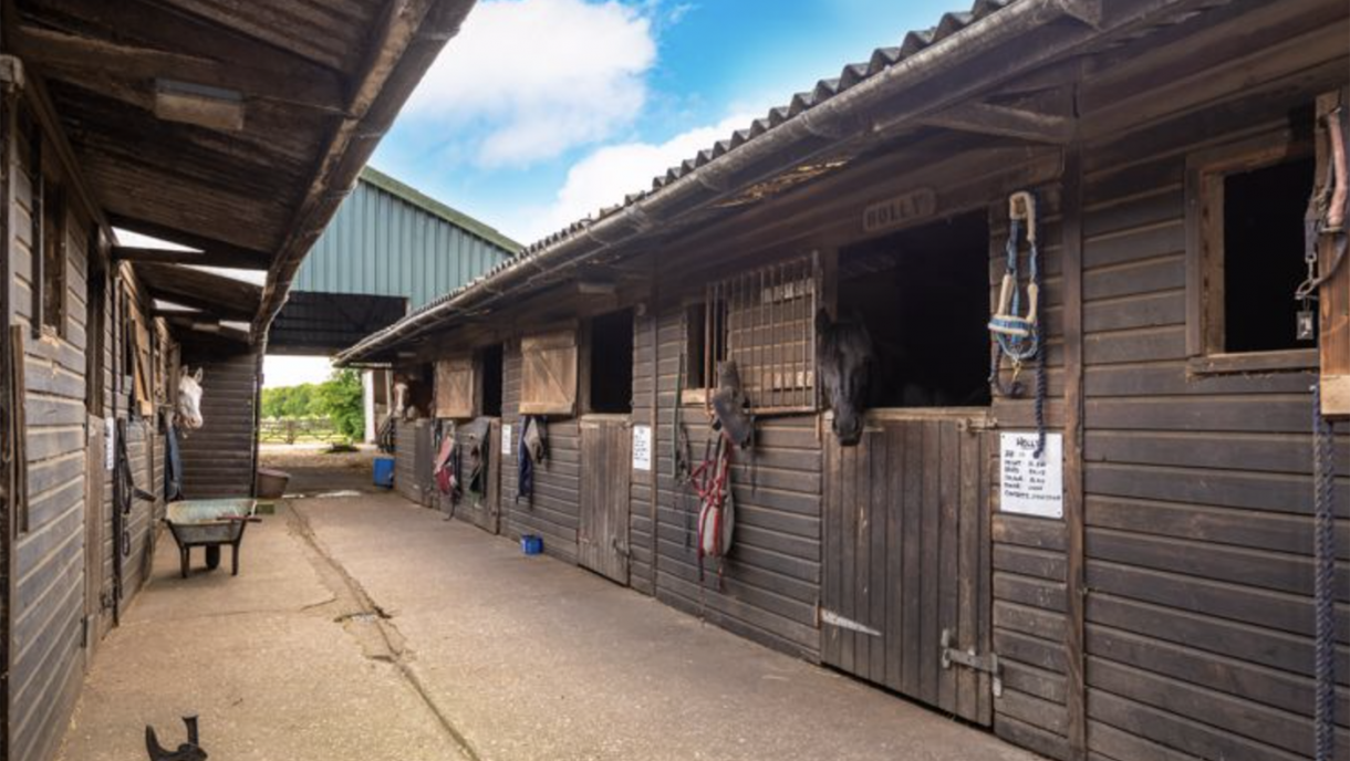 A bungalow, 14 stables, arena and glamping site in idyllic countryside