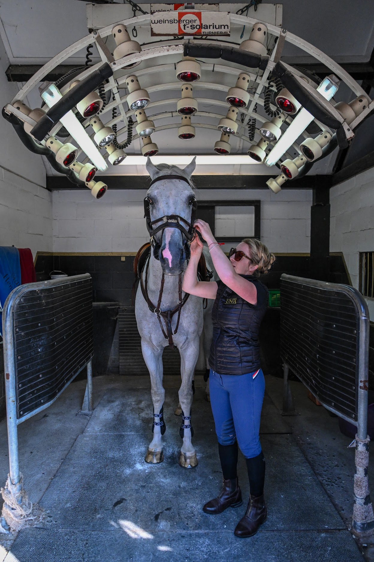 Guestlist being got ready for Tim Gredley at Tim's stables in Unex House near Newmarket in Suffolk in the UK