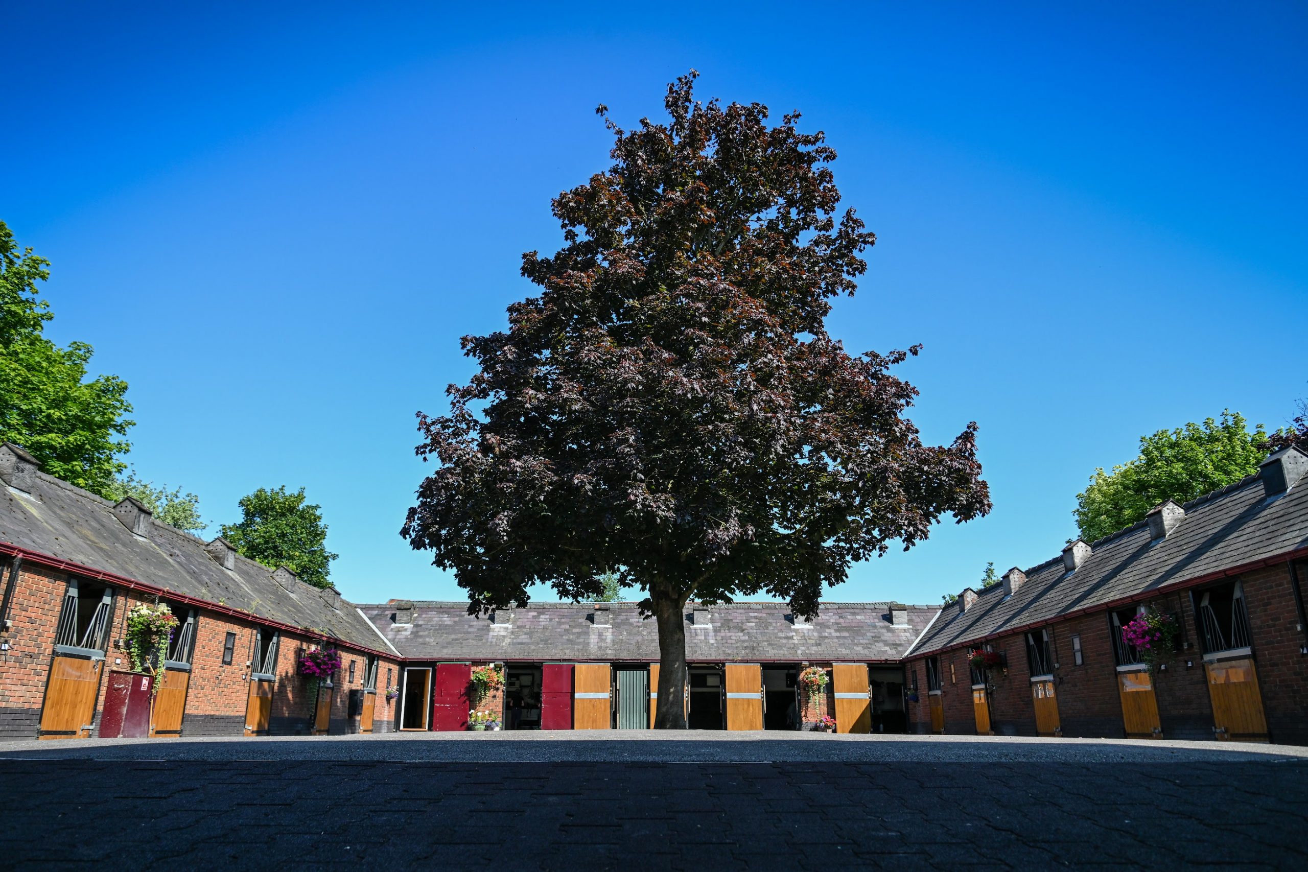 The equestrian haven that is British showjumper Tim Gredley's Newmarket stable yard.