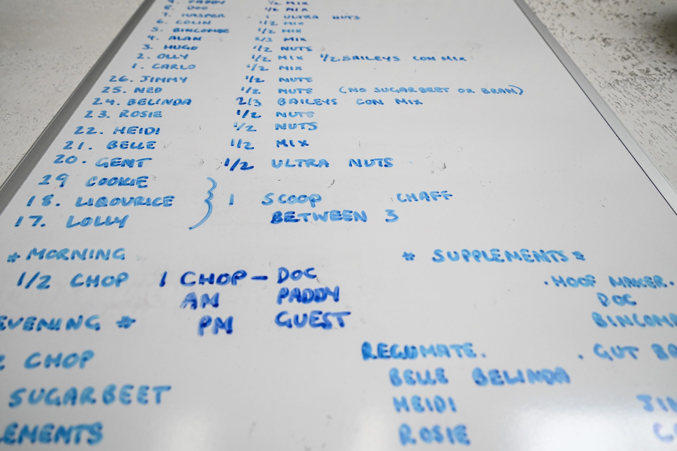 Feeding time - the menu for each horse is clearly laid out.