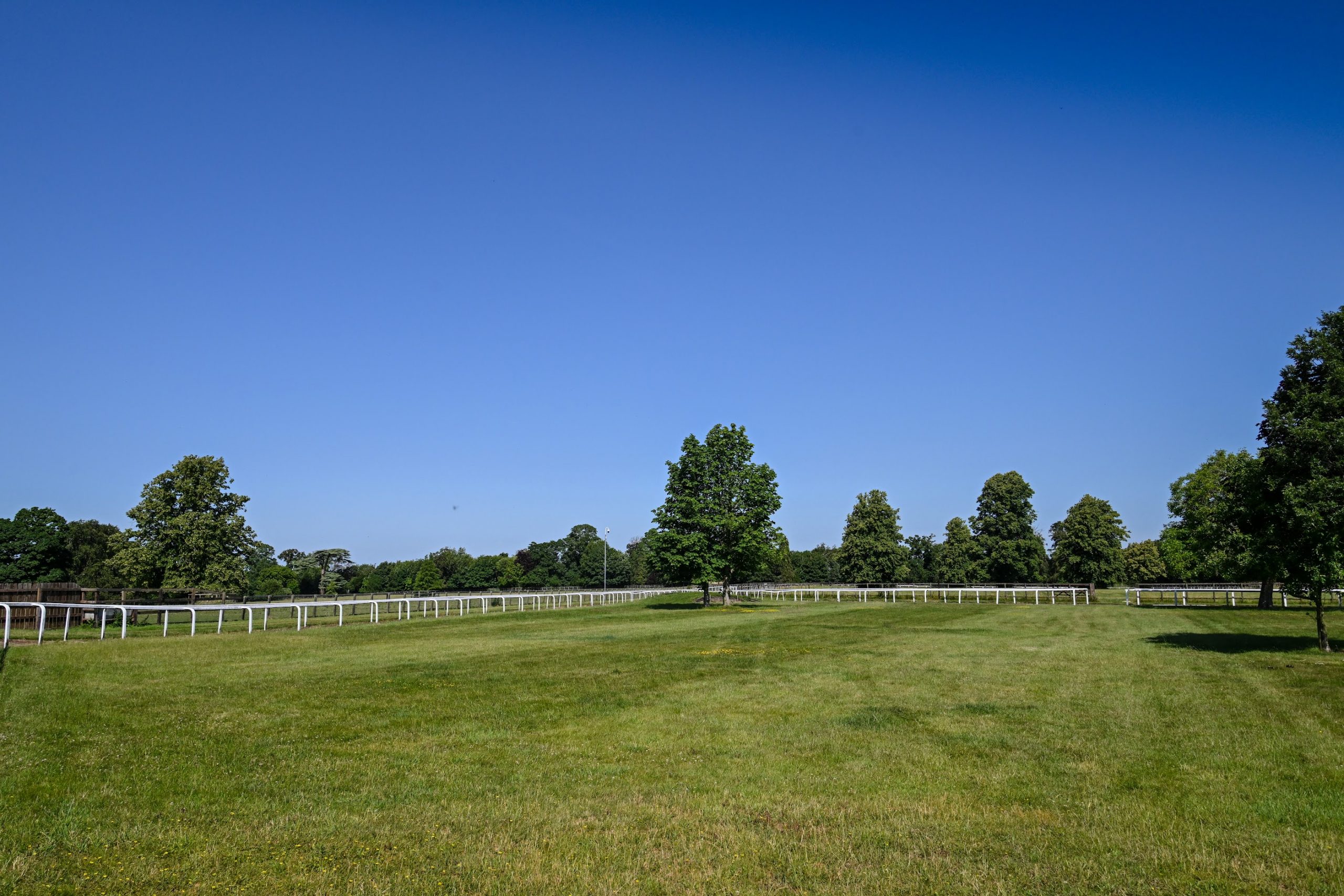 Racing is in the Gredley family's blood and they've made their home near its headquarters in Newmarket. One of the family's home-breds, Burdett Road, was a Royal Ascot winner this year.