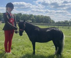 Tilly Norris, 10, showed in-hand at this year's RIHS final