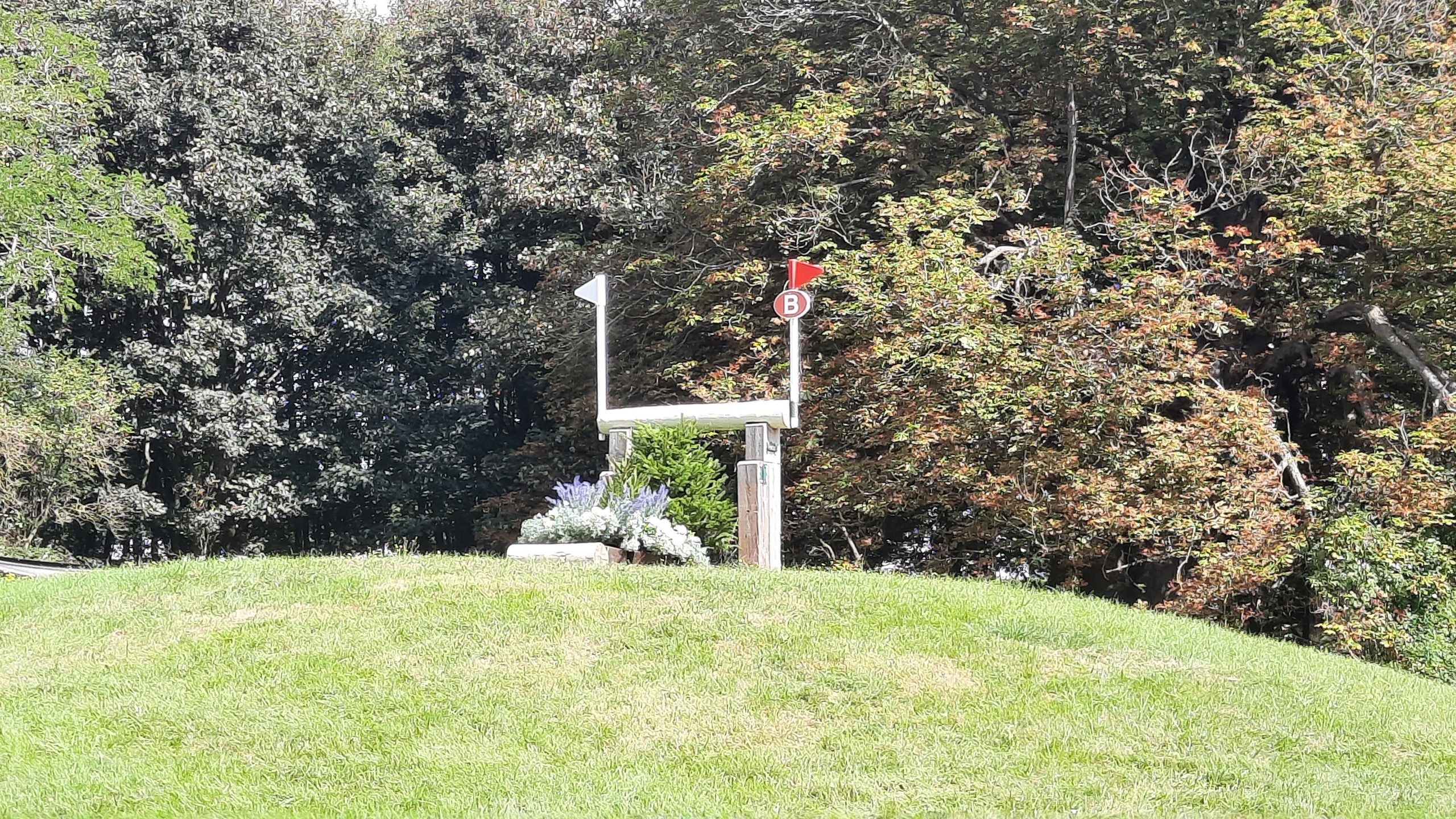 Fence 11b: Blenheim Horse Trials cross-country course gallery