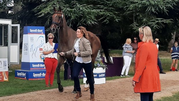 Blenheim Horse Trials trot-up Selina Milnes and Gelmer