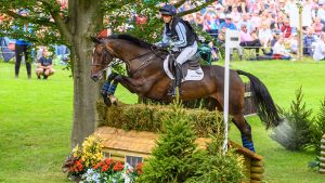 Burghley Horse Trials special prizes: Topspin was the best British-bred prize