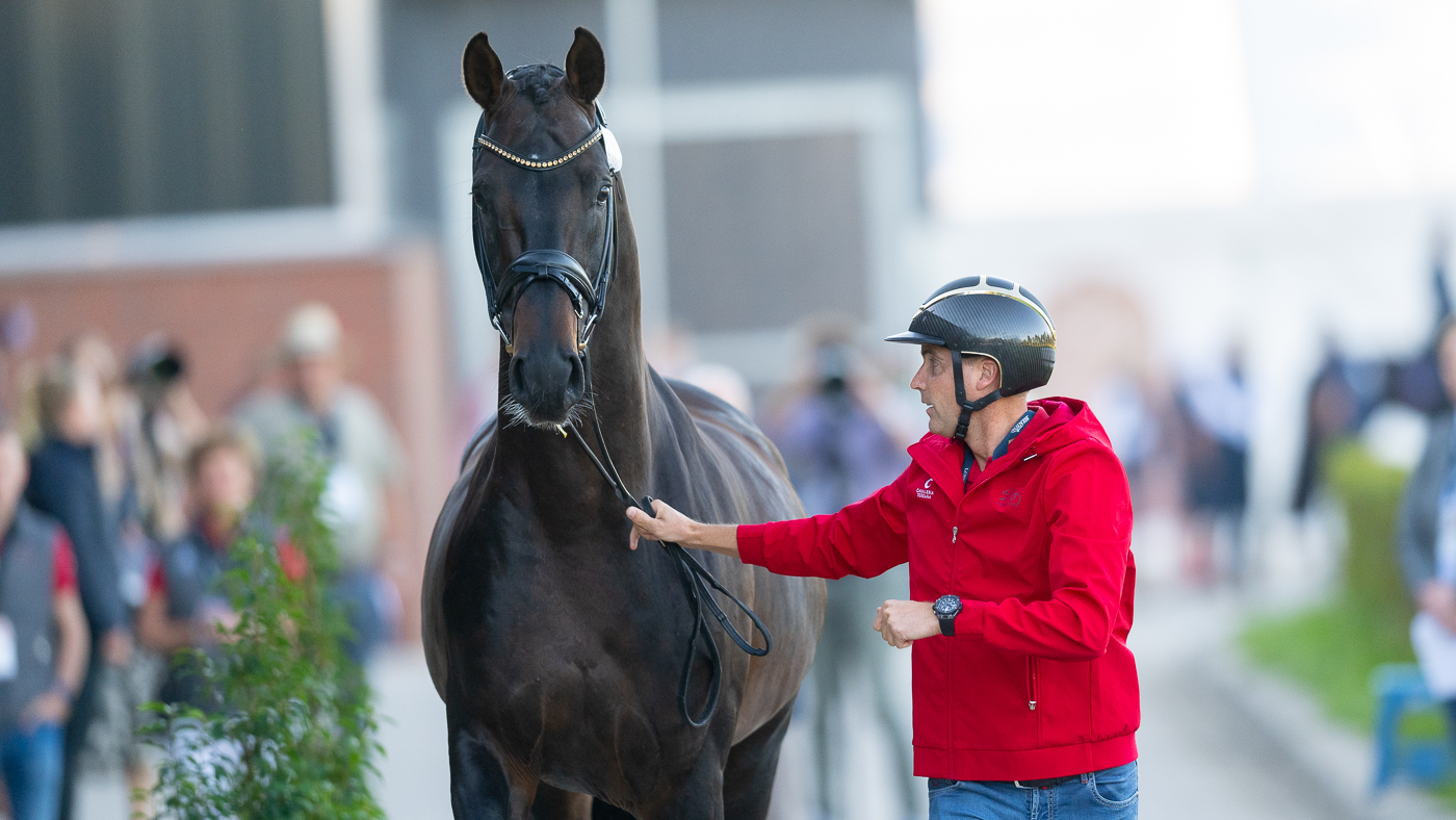 Andreas Helgstrand and Jovian at the European dressage championships trot-up