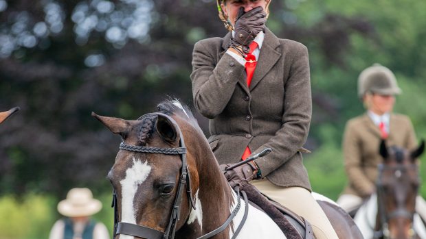 So Sweet qualified for HOYS at NCPA Staffordshire