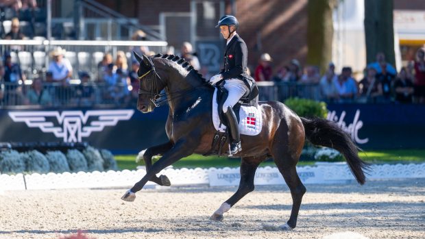 The television documentary filmed undercover at Helgstrand Dressage will air this week. Pictured Helgstrand Dressage founder Andreas Helgstrand and Jovian in the grand prix at the European Dressage Championships 2023.