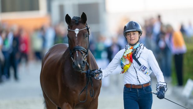 sorrell klatzko european dressage championships trot-up