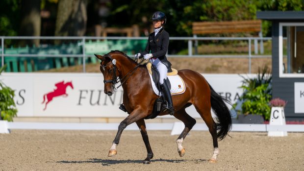 European Para Dressage Championships Michele George and Best of 8