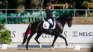 Sophie Wells and LJT Egebjerggards Samoa in the para freestyle at the European Dressage Championships