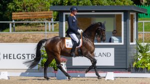 Frank Hosmar and Alphaville NOP at the European Para Dressage Championships