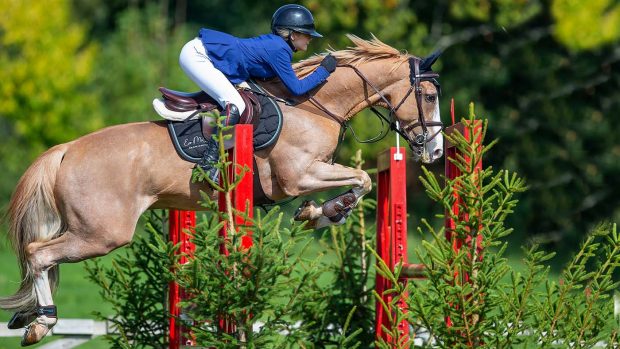 Eve McCoy (GBR) riding COCKTAIL D’AZUR at Hickstead