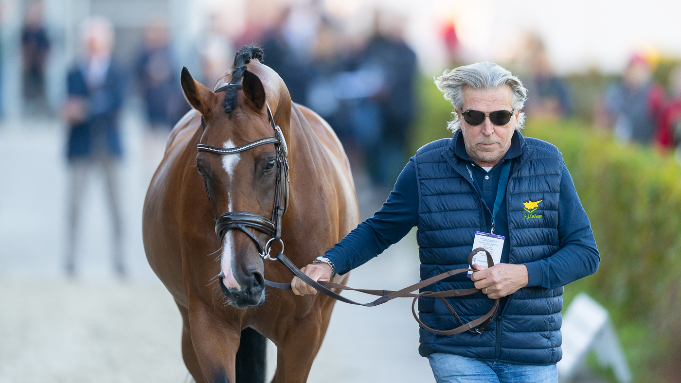 Cyprus Ophelia at the European Dressage Championships