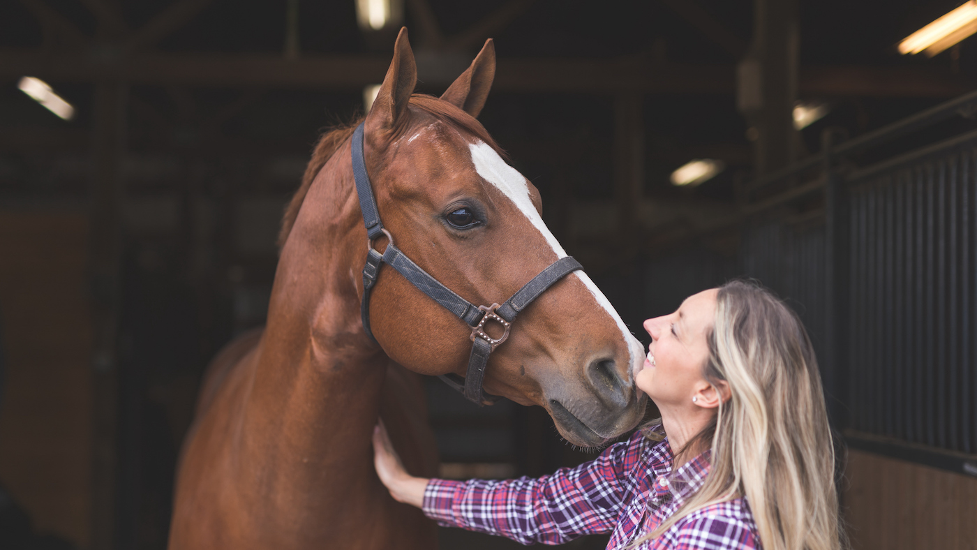 Involvement of horses in game is ethically good enough, analysis unearths