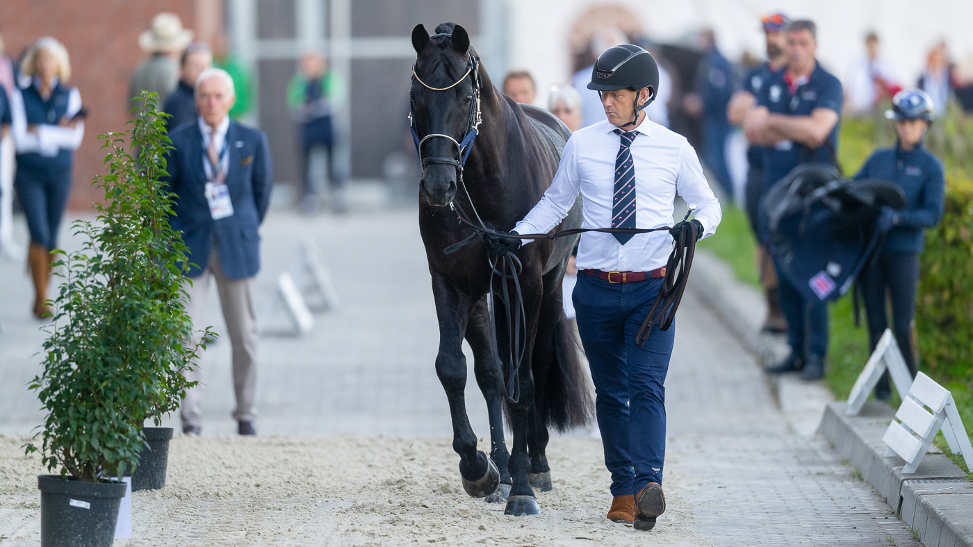 Richard Hauwaerts leads Glamourdale for Lottie Fry