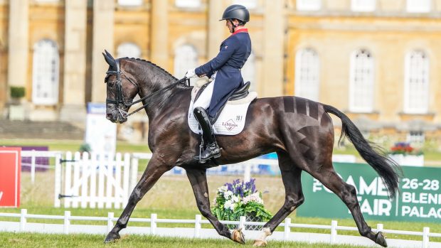 Tom McEwen and MHS Brown Jack head the eight- and nine-year-old CCI4*-S dressage results at Blenheim Horse Trials after day one.