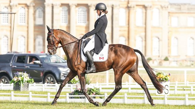 Lovely Assistant and Hanna Bundy at Blenheim Horse Trials.