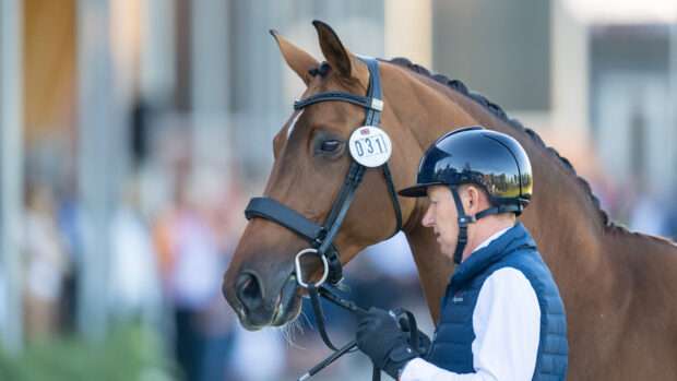 Gareth Hughes and Classic Briolinca at European Dressage Championships trot-up