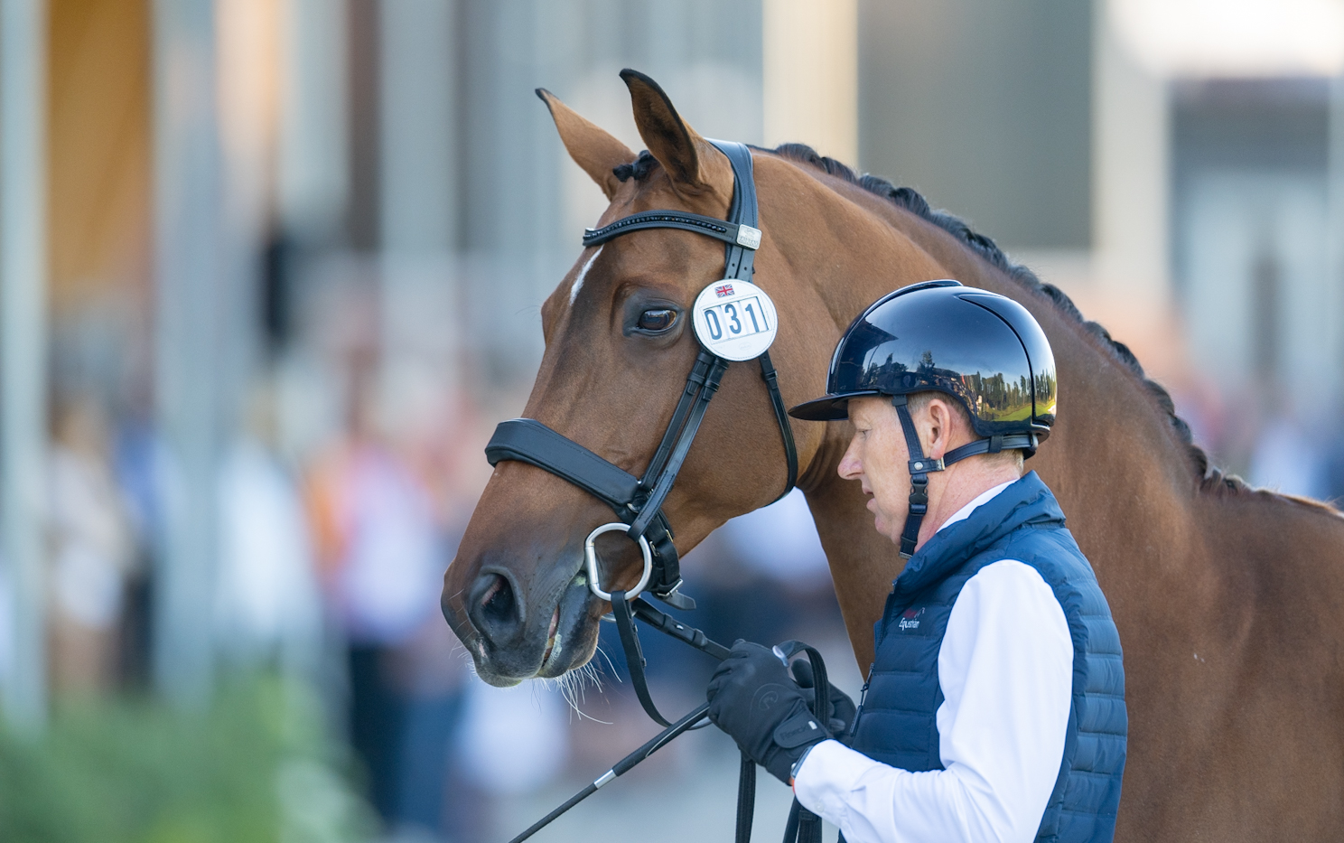 Gareth Hughes and Classic Briolinca at European Dressage Championships trot-up