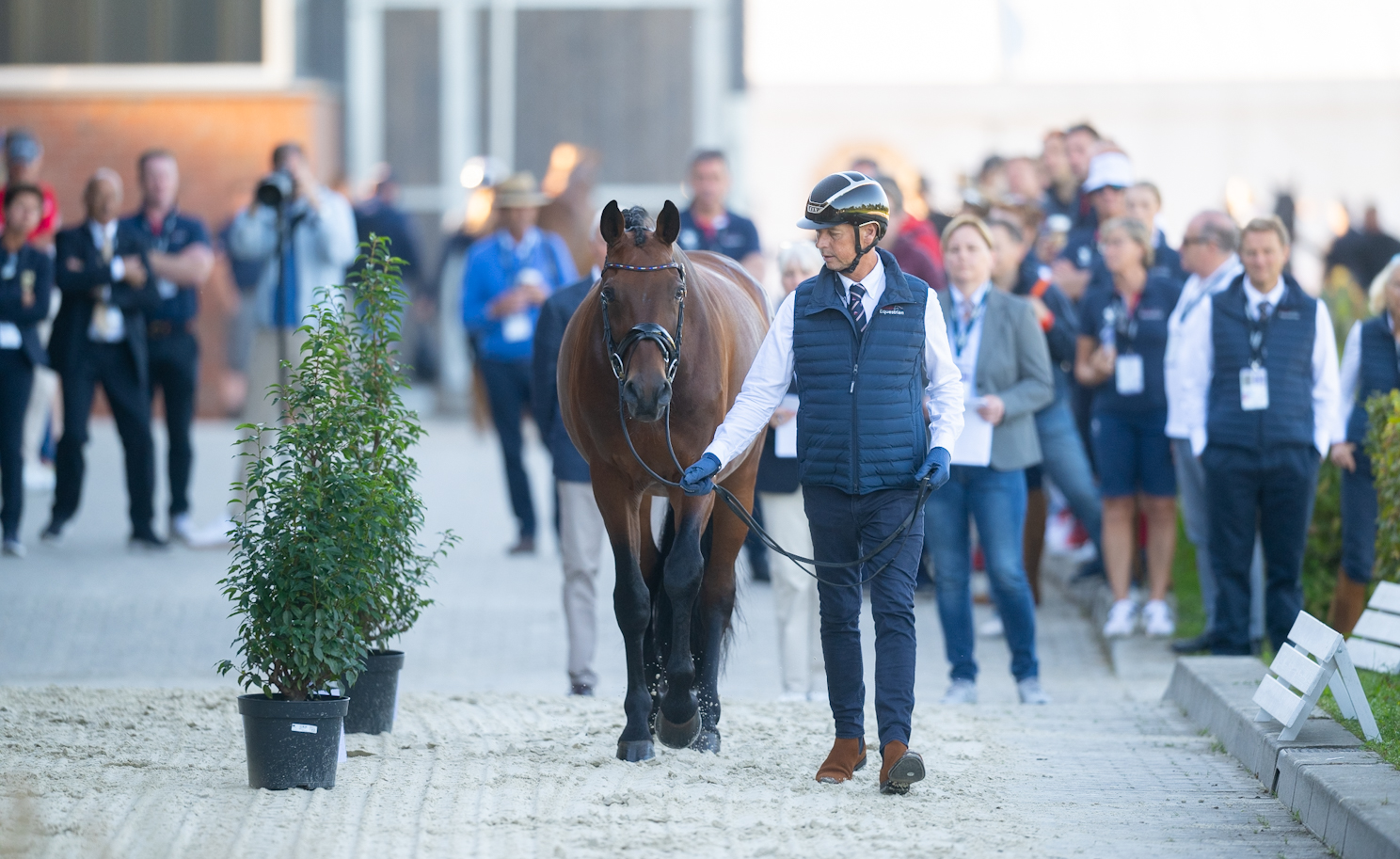 Carl Hester and Fame at the European Dressage Championships trot-up