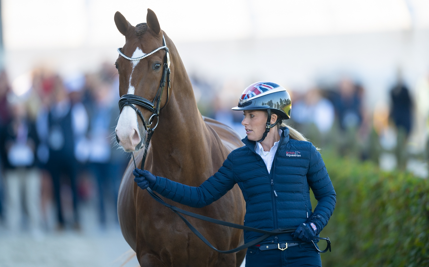 Charlotte Dujardin and Imhotep trotting up