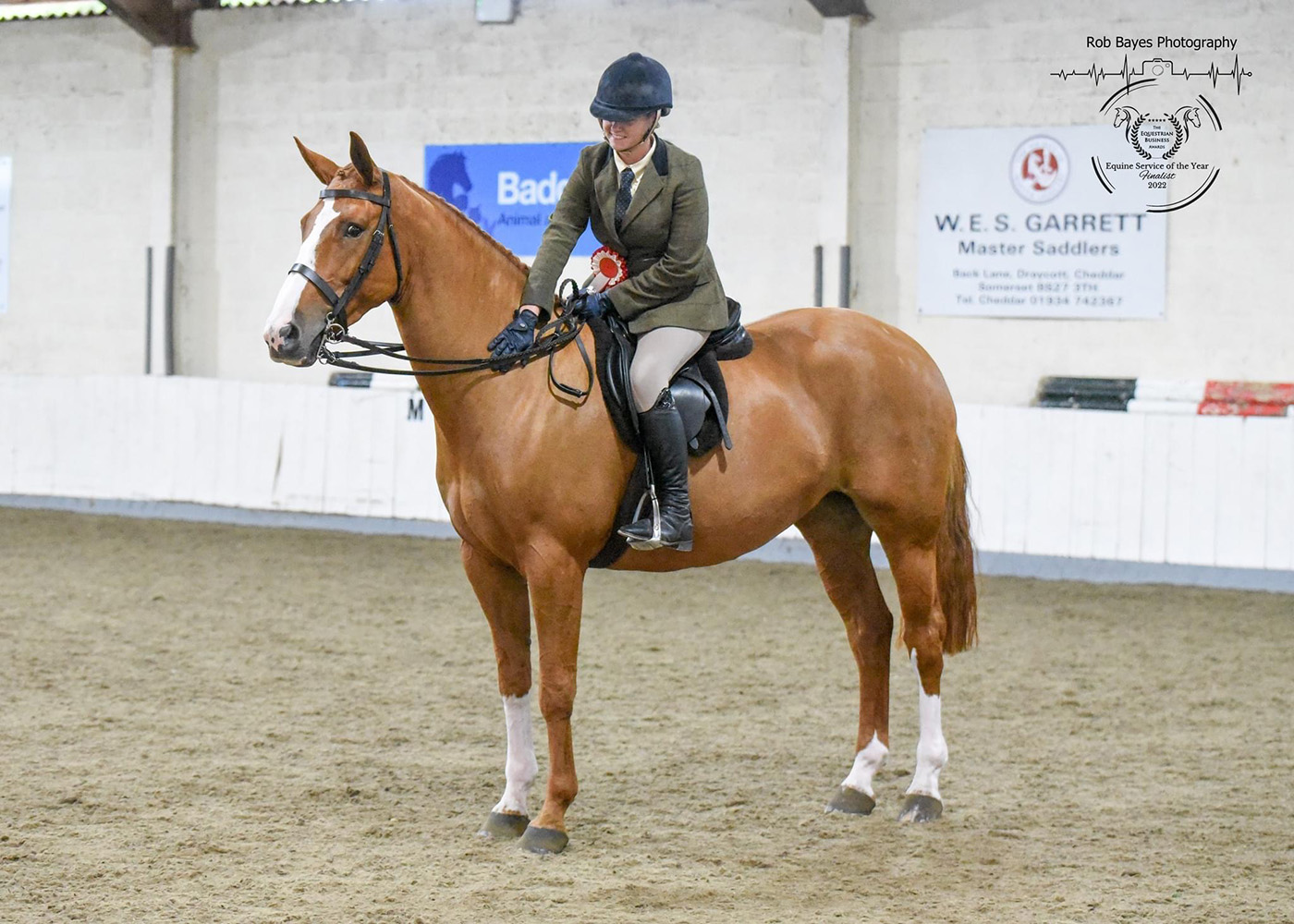 Ballyheerin Dream and Helen Anderson: HOYS finalists