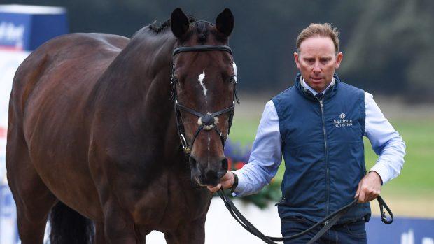 Blenheim Horse Trials final trot-up
