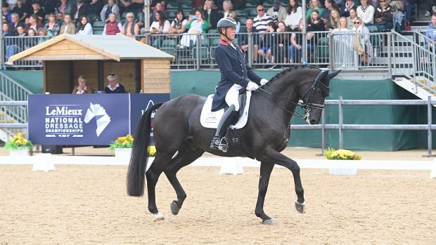 At the 2023 LeMieux National Dressage Championships, Carl Hester and Lady Anne Evans’ exceptional En Vogue led the LeMieux grand prix gold championship.