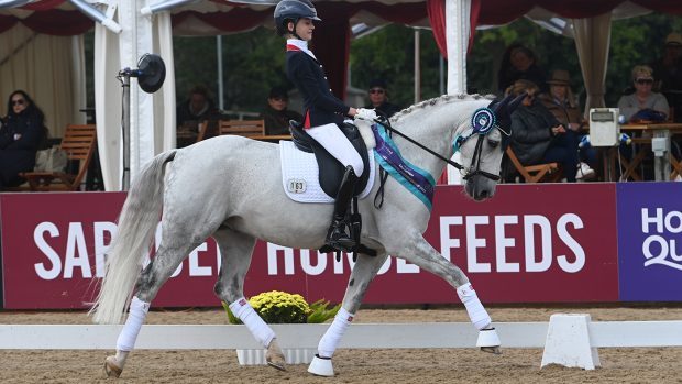 Abigail Gray, 15, and George Clooney B.S at the national dressage championships