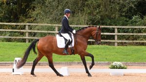 Tom Carter riding Newton Despina at the National Dressage Championships 2023