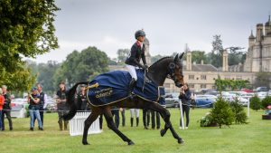 Burghley Young Event Horse final