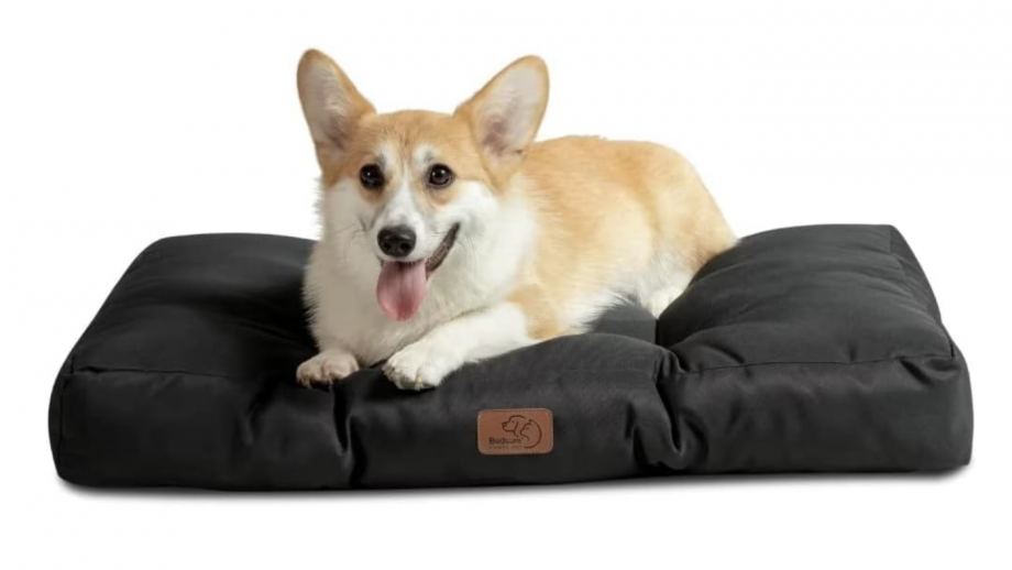 Best dog beds for crates to make a soft and cosy haven